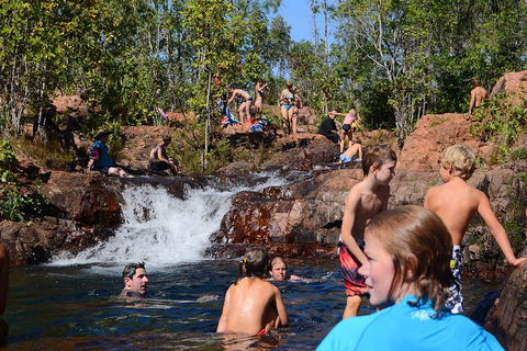 Litchfield And Jumping Crocodiles Full Day Trip From Darwin - Accommodation Resorts 5