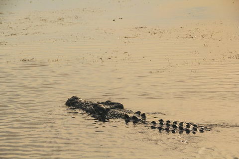 Yellow Water Cruise - Kakadu - Accommodation Resorts 2