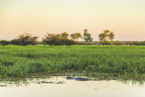 Yellow Water Cruise - Kakadu - Accommodation Resorts 3