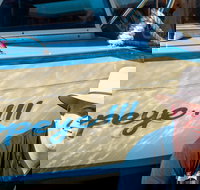 Torrens River Cruise in Adelaide - Accommodation Resorts