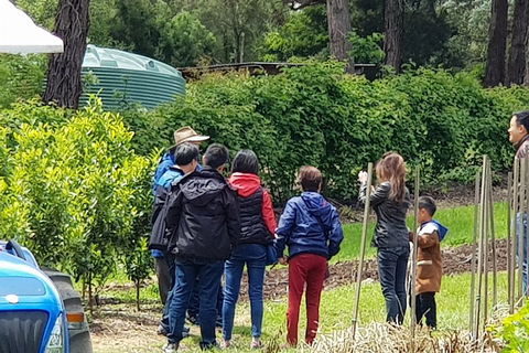 Dandenong Ranges And Rayners Orchard Tour From Melbourne - Accommodation Resorts 4