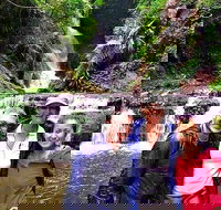 Exclusive Private Tour - Design your own - Accommodation Resorts