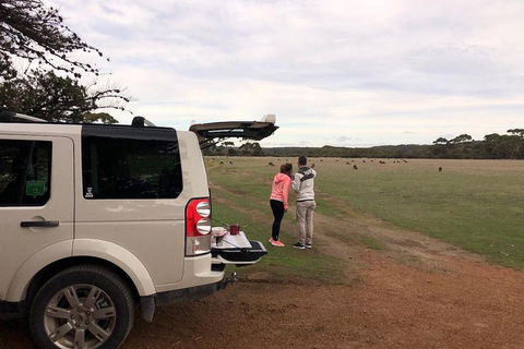Kangaroo Island 4WD Tour - Flinders Chase - Accommodation Resorts 3