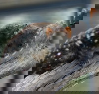 Sunset Experience - Accommodation Resorts