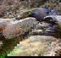 Day Keeper Tour - Accommodation Resorts