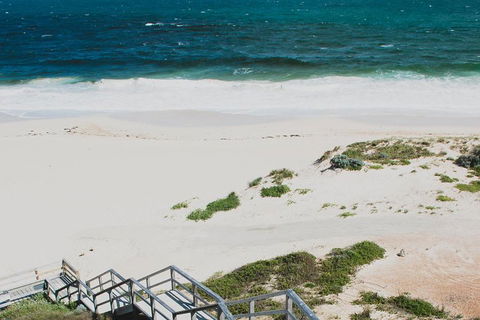Yanchep & Lancelin - Wildlife, Cave And Sands - Accommodation Resorts 5
