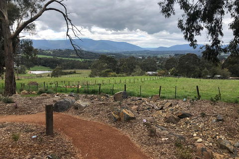 Yarra Valley Wine Tour Inc Lunch With A Glass Of Wine, Tastings And Chocolate - Accommodation Resorts 0