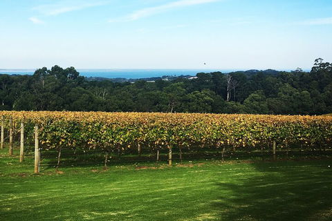 Yarra Valley Wine Tour Inc Lunch With A Glass Of Wine, Tastings And Chocolate - Accommodation Resorts 2