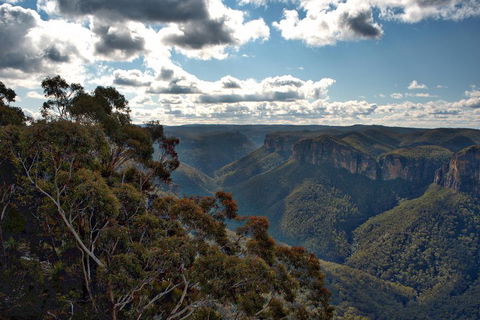 Unforgettable Blue Mountains Day Tour - Accommodation Resorts 4