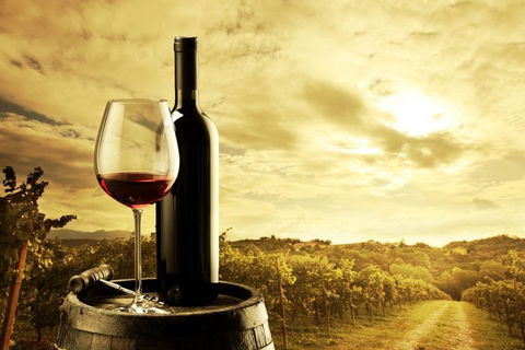 Barossa Valley Cellar Doors Luxury Wine Tour - Accommodation Resorts 0