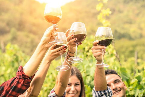 Barossa Valley Cellar Doors Luxury Wine Tour - Accommodation Resorts 1