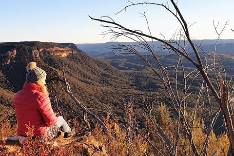 Ultimate Blue Mountains Waterfalls, Walks & Sunset PRIVATE Tour - Accommodation Resorts 2