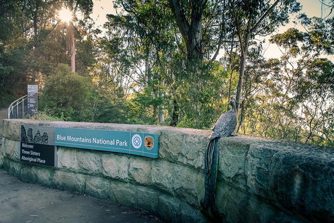 Ultimate Blue Mountains Waterfalls, Walks & Sunset PRIVATE Tour - Accommodation Resorts 3