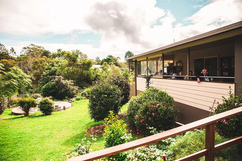 Full-day Springbrook National Park Tour From The Gold Coast - Accommodation Resorts 2