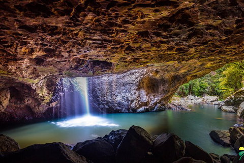 Full-day Springbrook National Park Tour From The Gold Coast - Accommodation Resorts 3