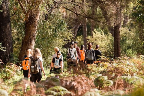 Half-Day Yanchep Ghost House Wilderness Guided Hike Tour - Accommodation Resorts 0