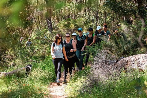 Half-Day Yanchep Ghost House Wilderness Guided Hike Tour - Accommodation Resorts 3