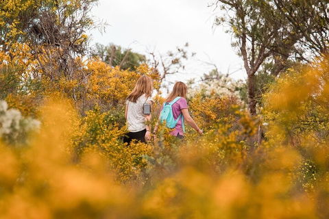 Half-Day Yanchep Ghost House Wilderness Guided Hike Tour - Accommodation Resorts 4