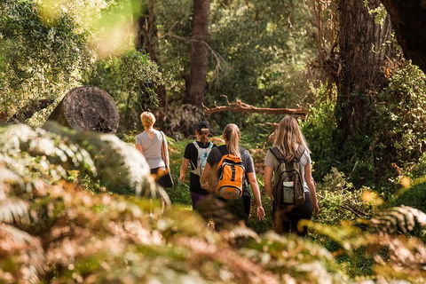 Half-Day Yanchep Ghost House Wilderness Guided Hike Tour - Accommodation Resorts 5