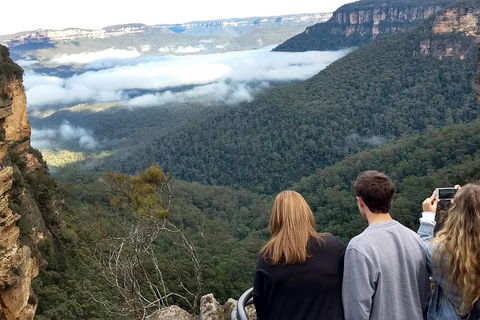 Blue Mountains Private Tour - Wild Kangaroos, Waterfalls And The Three Sisters - Accommodation Resorts 3