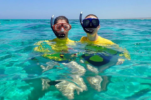 Lagoon Explorer - Ningaloo Reef Full-Day Kayaking And Snorkeling Adventure - Accommodation Resorts 4