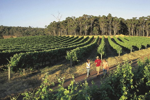 Margaret River, Caves, Wine And Cape Leeuwin Lighthouse Tour From Perth - Accommodation Resorts 1