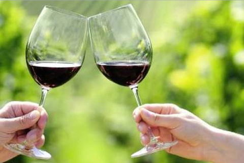 Yarra Valley Premium Tour Inc Lunch And Cheese And Wine Pairing At De Bortoli - Accommodation Resorts 5