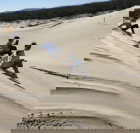 Port Stephens Bush Beach and Sand Dune 4WD Tag-Along Tour - Accommodation Resorts