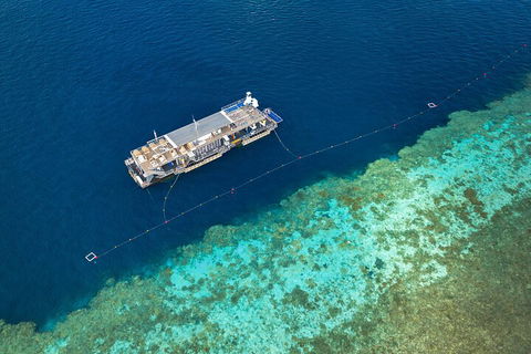 Great Barrier Reef Day Cruise To Reefworld - Accommodation Resorts 2
