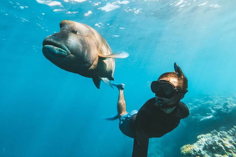 Great Barrier Reef Day Cruise To Reefworld - Accommodation Resorts 3
