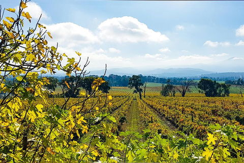Yarra Valley Wine & Food Tour Departing From Melbourne - Accommodation Resorts 4