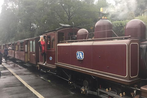 Puffing Billy, Moonlit Sanctuary & Penguins Day Tour - Accommodation Resorts 4