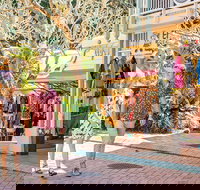 Full Day Sunshine Coast Hinterland Luxury Small Group Tour from Brisbane - Accommodation Resorts