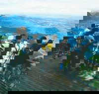 Springbrook National Park  Gold Coast Full Day Luxury Tour from Brisbane - Accommodation Resorts