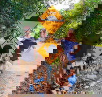 Cape Tribulation Daintree Rainforest and Wildlife Tour - Accommodation Resorts