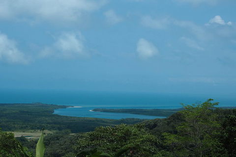 Cape Tribulation, Daintree Rainforest And Wildlife Tour - Accommodation Resorts 1
