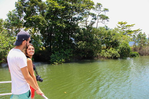 Cape Tribulation, Daintree Rainforest And Wildlife Tour - Accommodation Resorts 2