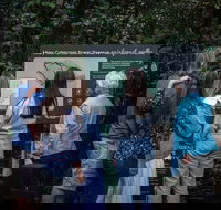 Sunshine Coast Hinterland and Noosa Day Trip from Brisbane Including Eumundi Markets and Ginger Factory - Accommodation Resorts