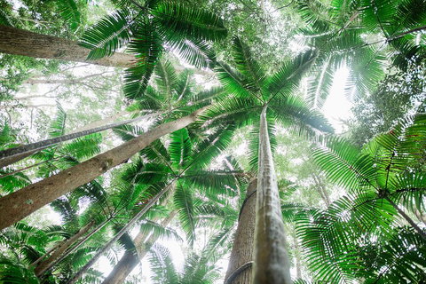 Fraser Explorer K'gari 2-Day Tour - Accommodation Resorts 2