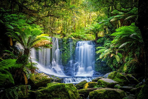 Day Tour In Mt. Field, Mt. Wellington, Bonorong Wildlife Sanctuary And Richmond - Accommodation Resorts 0