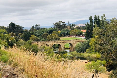 Day Tour In Mt. Field, Mt. Wellington, Bonorong Wildlife Sanctuary And Richmond - Accommodation Resorts 3