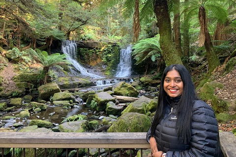 Day Tour In Mt. Field, Mt. Wellington, Bonorong Wildlife Sanctuary And Richmond - Accommodation Resorts 5