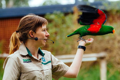 VIP Sanctuary Tour At Healesville Sanctuary Ticket - Accommodation Resorts 0