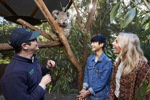 VIP Sanctuary Tour At Healesville Sanctuary Ticket - Accommodation Resorts 1