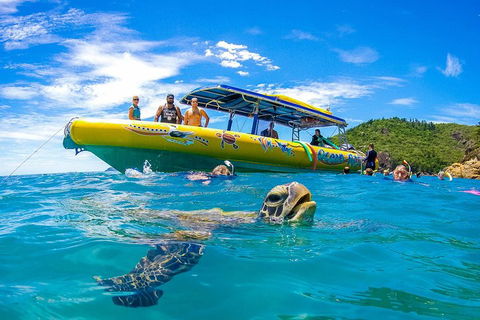 Great Barrier Reef Scenic Flight And Ocean Rafting Whitehaven Beach Day Trip - Accommodation Resorts 1