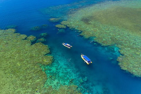 Great Barrier Reef Scenic Flight And Ocean Rafting Whitehaven Beach Day Trip - Accommodation Resorts 4