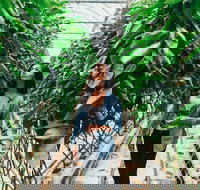 Yarra Valley Local Produce and Wine Tasting Tour - Accommodation Resorts