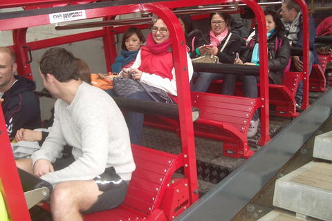 Blue Mountains Private Tour With Wildlife Park And River Cruise - Accommodation Resorts 0