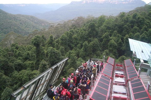Blue Mountains Private Tour With Wildlife Park And River Cruise - Accommodation Resorts 1