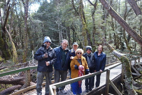 Blue Mountains Private Tour With Wildlife Park And River Cruise - Accommodation Resorts 2